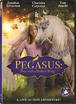 Pegasus Pony with a Broken Wing (2019) ม้าเพกาซัสที่มีปีกหัก